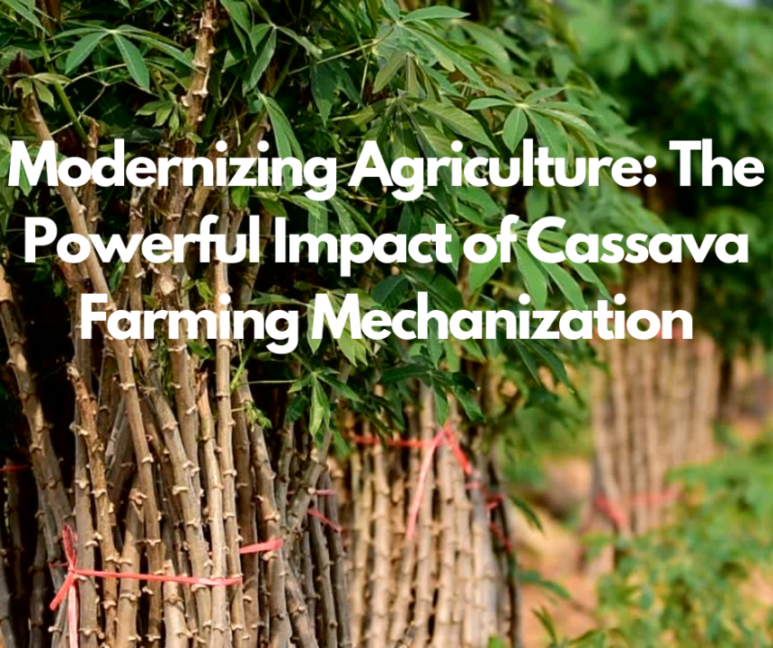 Modernizing Agriculture: The Powerful Impact of Cassava Farming Mechanization