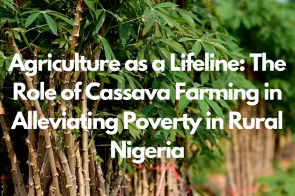 Agriculture as a Lifeline: The Role of Cassava Farming in Alleviating Poverty in Rural Nigeria