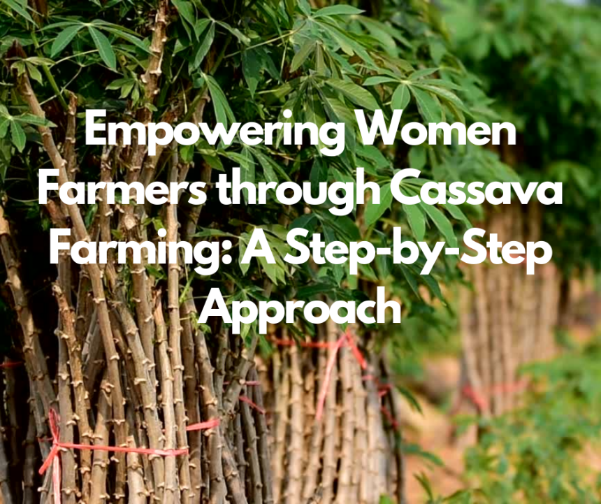 Empowering Women Farmers through Cassava Farming: A Step-by-Step Approach