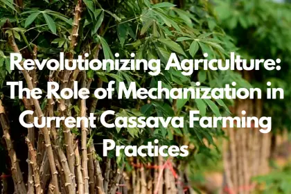 Revolutionizing Agriculture: The Role of Mechanization in Current Cassava Farming Practices