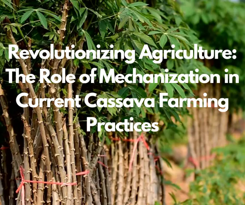Revolutionizing Agriculture: The Role of Mechanization in Current Cassava Farming Practices