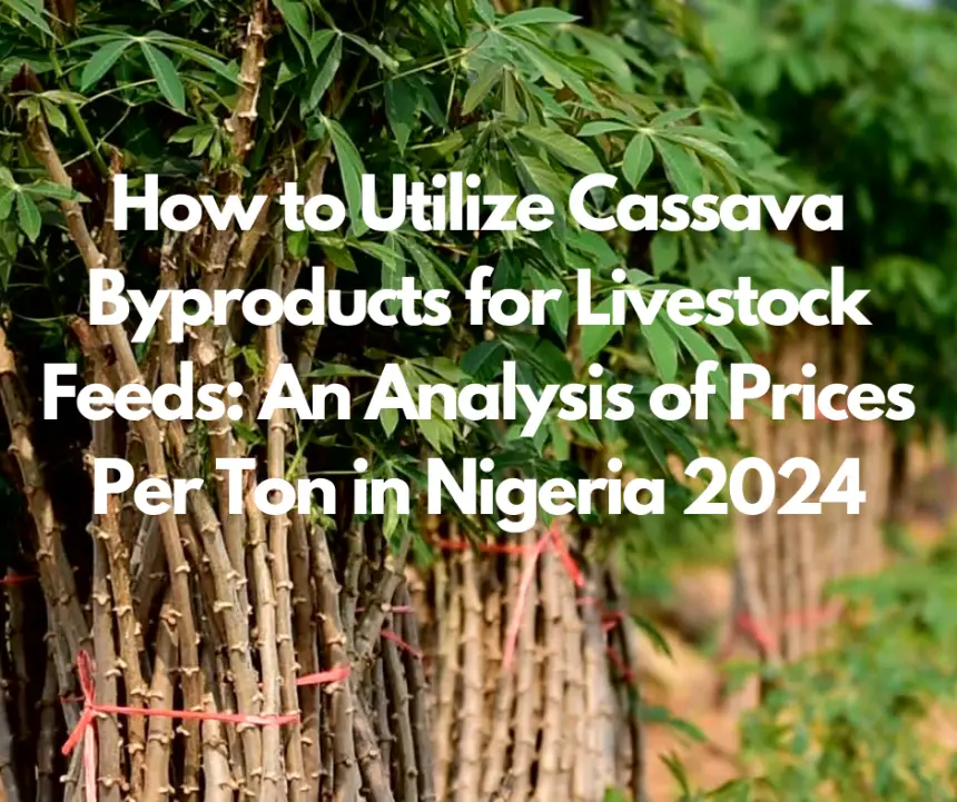 How to Utilize Cassava Byproducts for Livestock Feeds: An Analysis of Prices Per Ton in Nigeria 2024