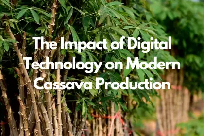 The Impact of Digital Technology on Modern Cassava Production