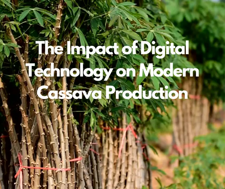 The Impact of Digital Technology on Modern Cassava Production