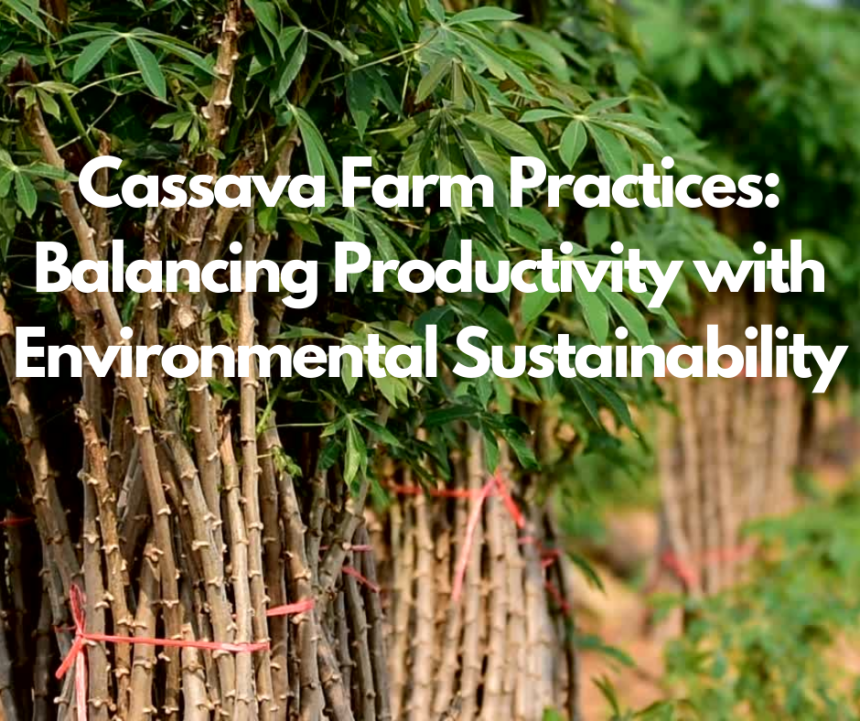 Cassava Farm Practices: Balancing Productivity with Environmental Sustainability