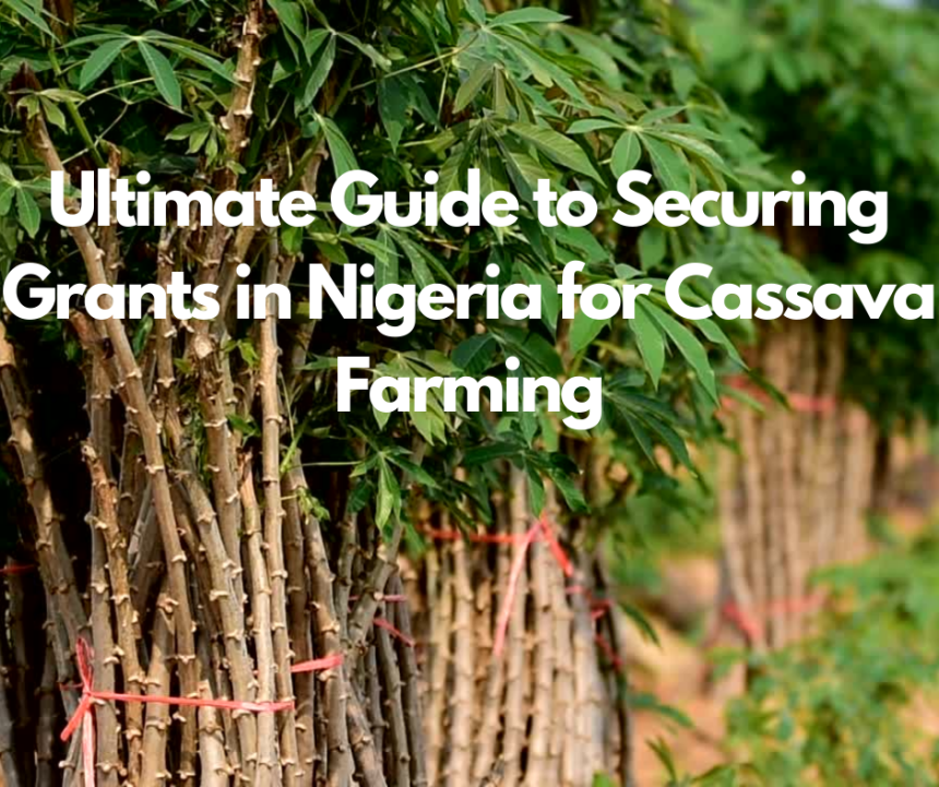 Ultimate Guide to Securing Grants in Nigeria for Cassava Farming